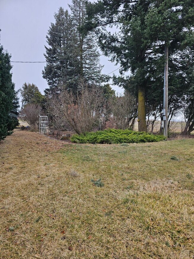 Photo - 1101 Stan Wilcox Rd