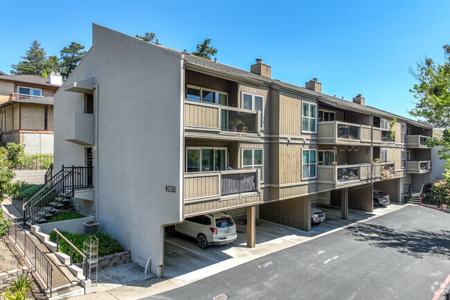 Primario - Moraga Terrace