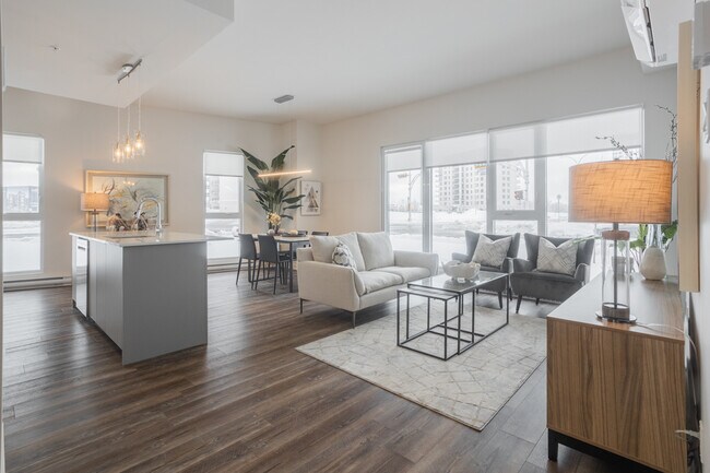 Photo - Project Loumii