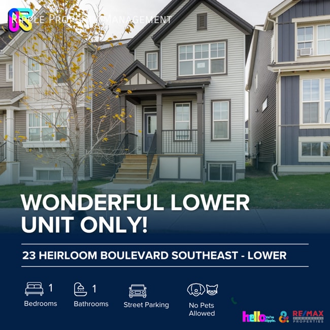 Building Photo - WONDERFUL 1 BED/ 1 BATH LOWER UNIT | PET FRIENDLY