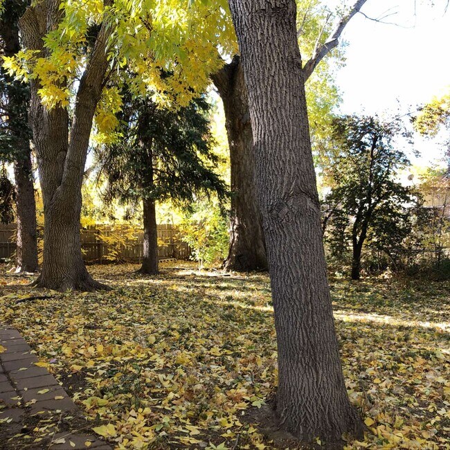 Photo - 2721 Meadowlark Ave