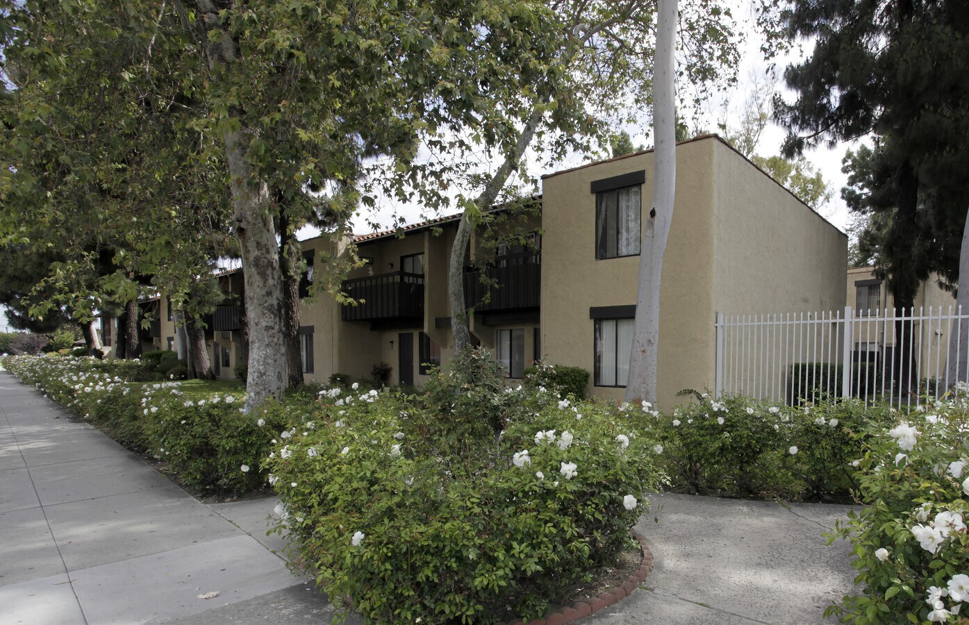 Shady Knoll - Shady Knoll Apartments