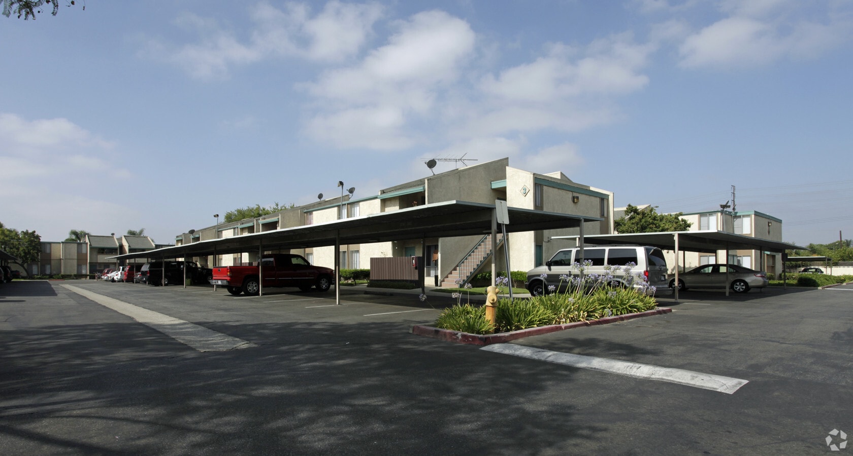 Plum Tree - Plum Tree Apartments