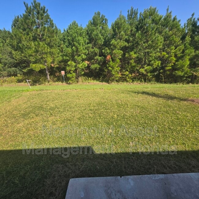 12743 Cacao Tree Trl. House House Rental in Jacksonville, FL