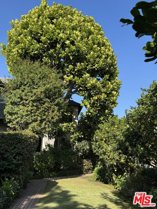 Photo - 7917 Norton Ave