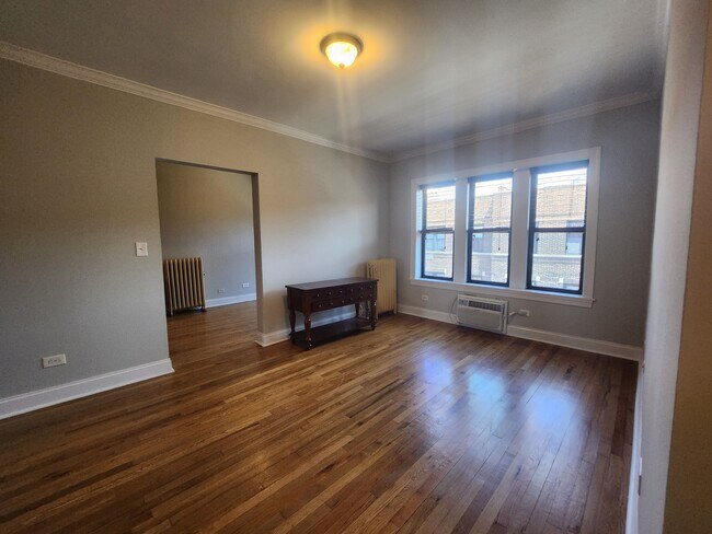 736 W Addison St Unit 1