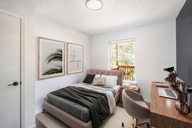 Carlson Bay Luxury Apartments