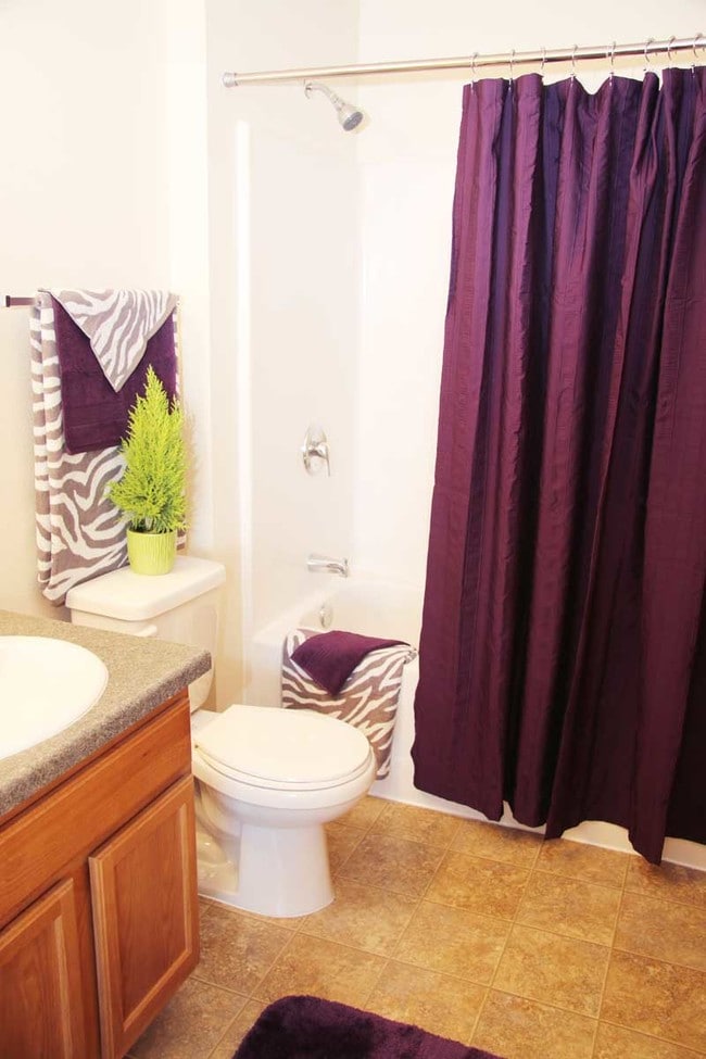 Tub/Shower Combo