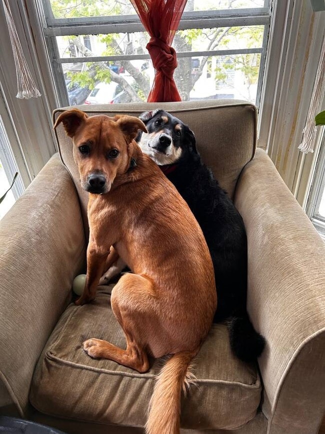 Photo - 127 Emery St