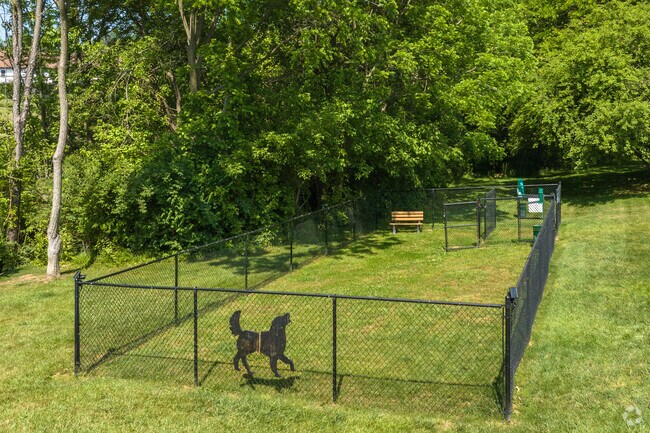 Dog Park