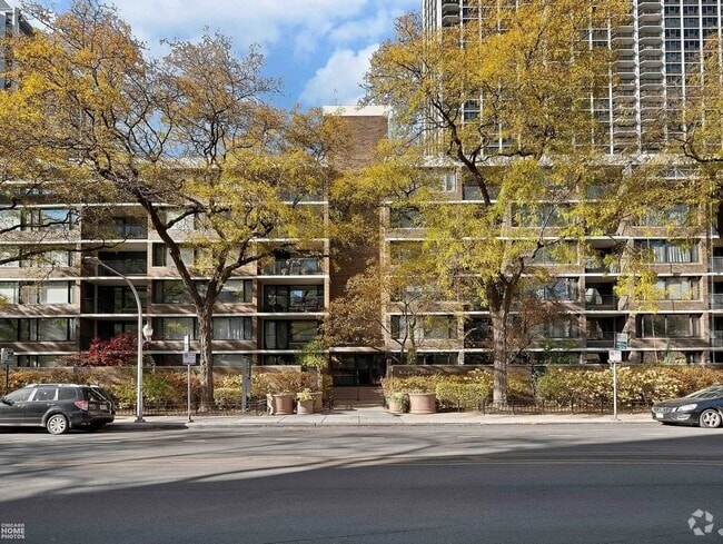 Building Photo - 1555 N Sandburg Terrace Unit 301 Rental