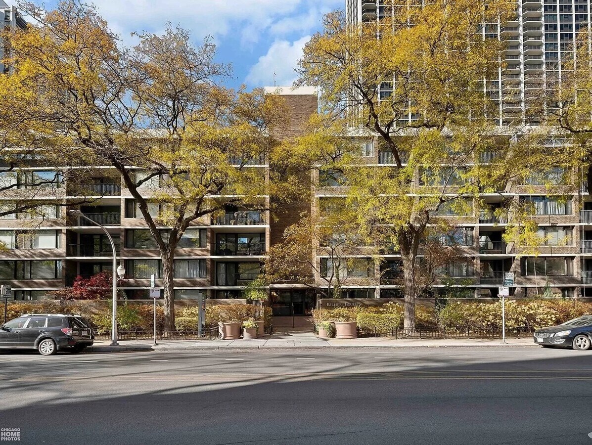 Photo - 1555 N Sandburg Terrace Condo Unit 301
