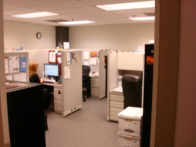 Photo - The Moser Building