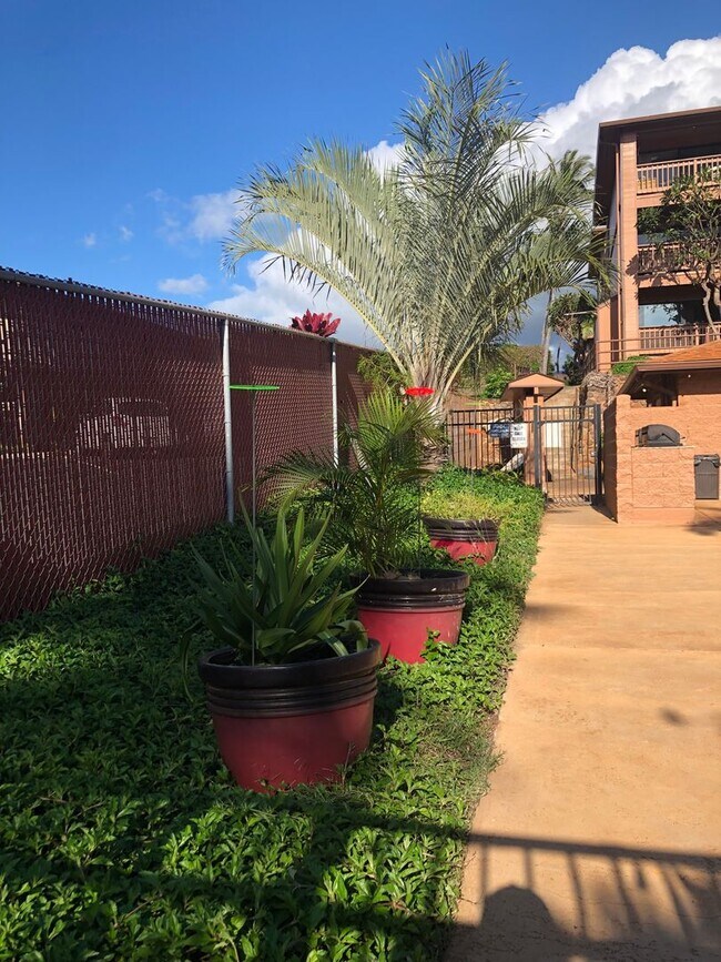 Photo - Lahaina Condo W/ Pool