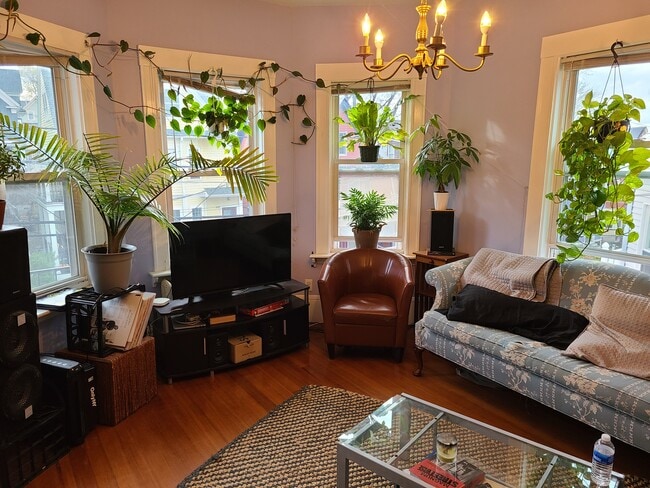 Photo - 95 Belmont St Unit 2