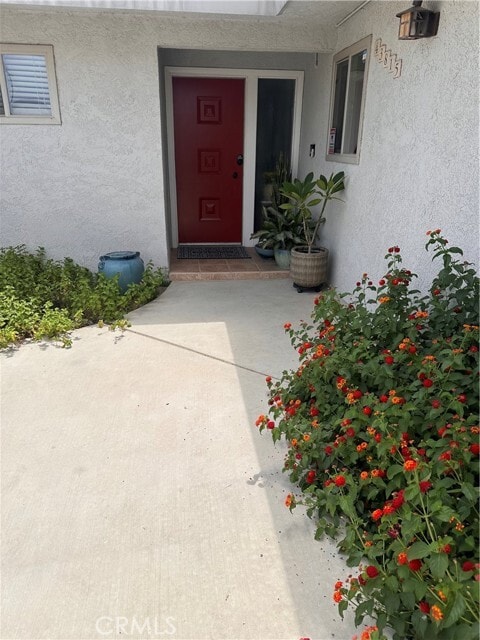 43815 Marigold Dr