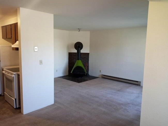 Photo - Urban Oasis!