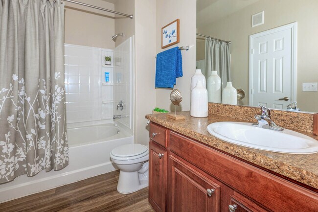 The Signature 757 SQFT 1 Bed 1 Bath