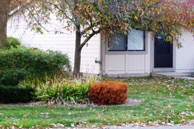 QUAINT LIVING