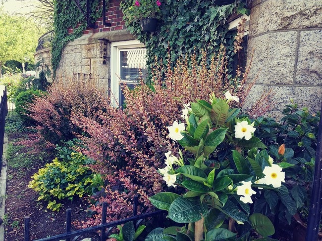 Photo - 17-31 Herrick Rd