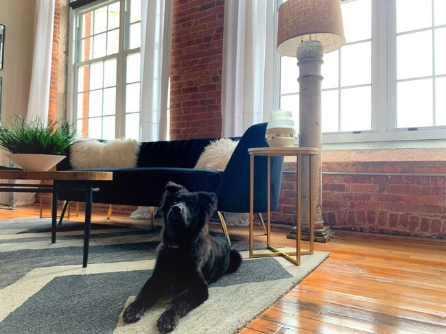 DRAYTON MILLS LOFT APARTMENTS