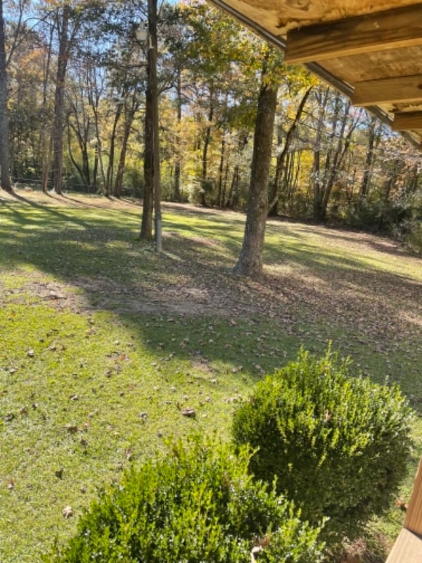 Photo - 2300 13th Ave SE