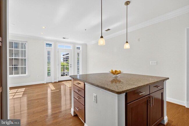 Photo - 1023 N Royal St Unit 205