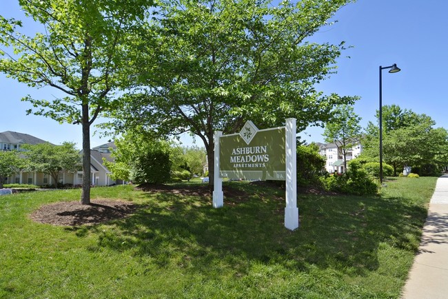 Ashburn Meadows - Ashburn Meadows