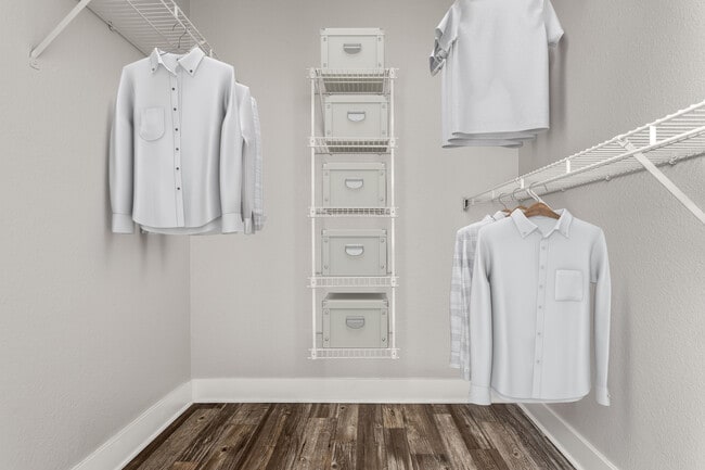 Walk-in closets built for style and function.