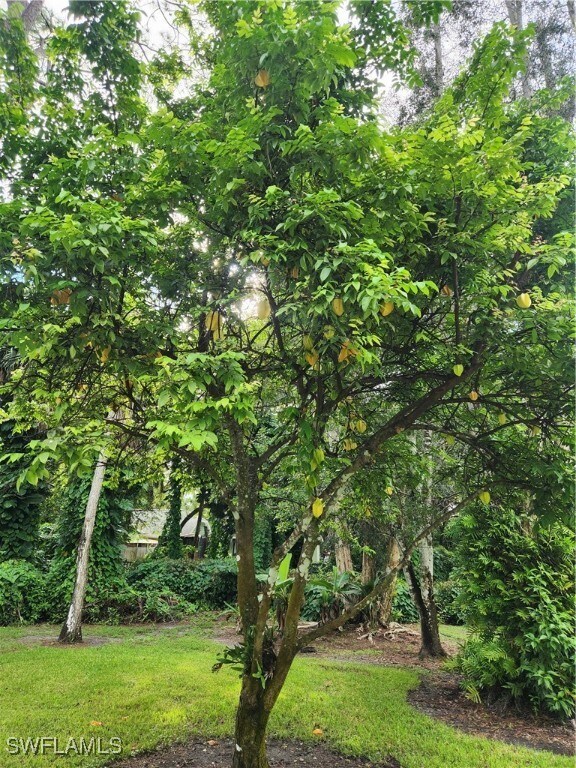 Photo - 5930 Spanish Oaks Ln