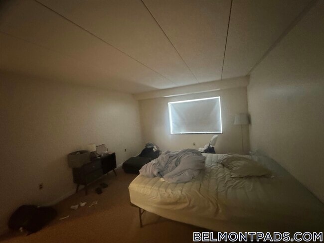 51 Hill Rd Unit 709
