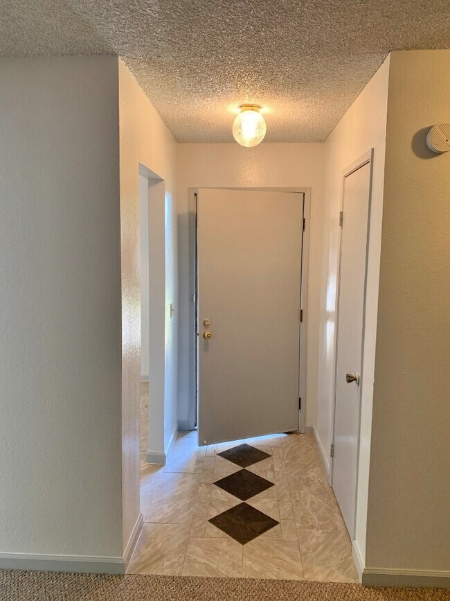 Photo - 805 Avon Ct