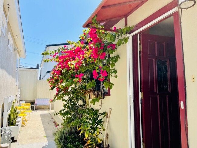 Backdoor patio