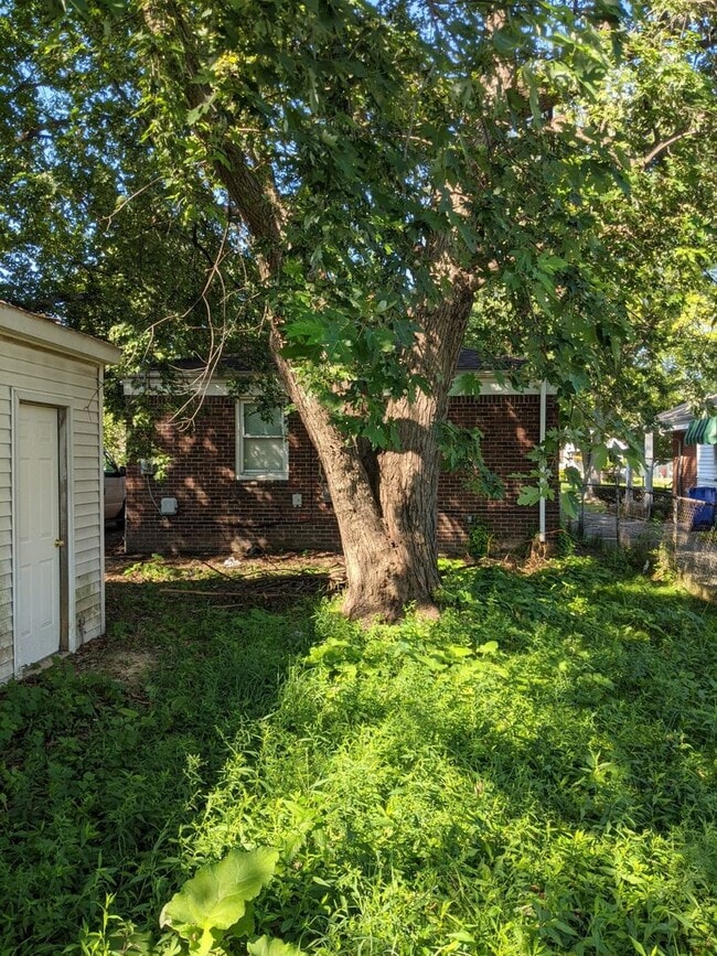 Photo - Charming 3-Bedroom Home and 1 Bath for Rent!