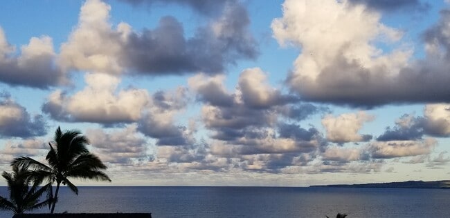 Building Photo - 1367 Kakae Pl