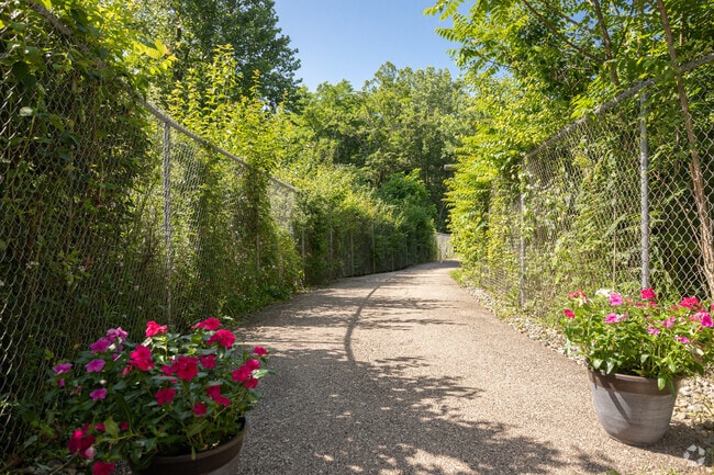 Path to Wright State University
