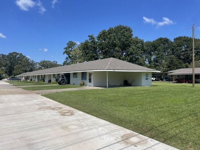 Building Photo - 12513 Forrest Braud Ln Rental