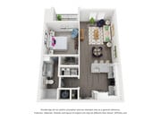 A2 | 1x1 | 790 sf