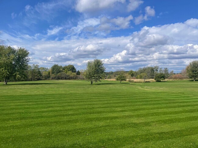 Backyard view - 7957 Bethel Rd