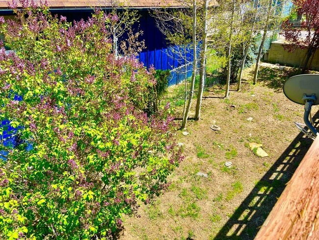 Photo - Charming Cabin + Loft in Lake of the Woods!