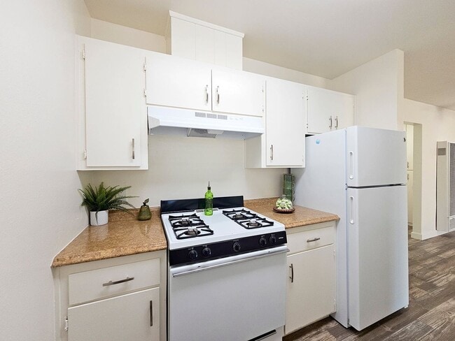 Shady Terrace Apartments!