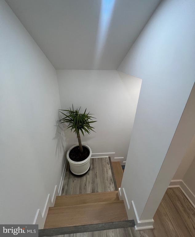 Photo - 169 Lawn Park Ave