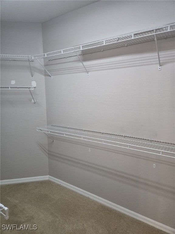 Photo - 10344 Whispering Palms Dr Unidad 1904