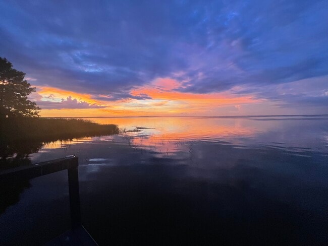 Building Photo - 1021 Temple Grove Pl