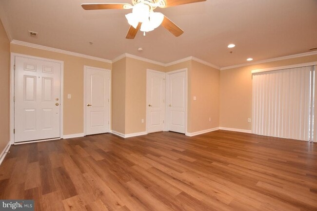 Photo - 342 Nicholas Dr