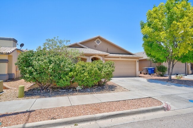 11305 Cattle Ranch St