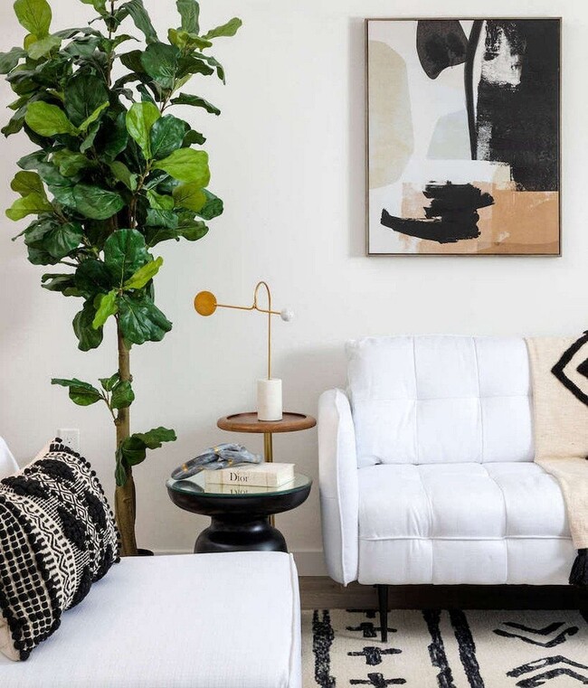 Photo - The Charlie Echo Park