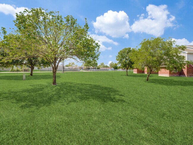 Mockingbird Lane Plaza