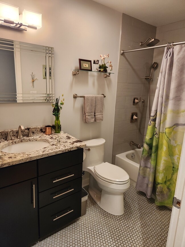 Second bath - 1601 W School St Unit 308