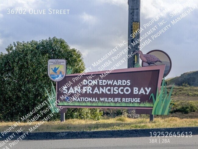 Photo - 36702 Olive St